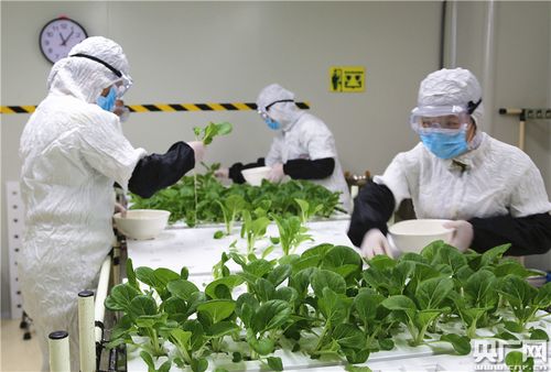 中央媒体走进世界最大植物工厂 探索新兴光生物产业"密码"