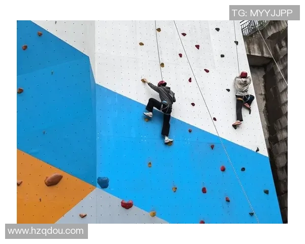 北京飞盘队在攀岩联赛中的战术运用与表现分析 北京飞盘队在攀岩联赛中的战术运用与表现分析